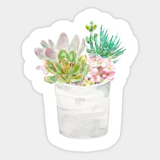 green succulent plants  in pot 2020 Sticker